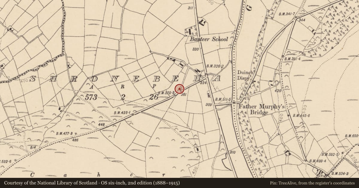 Ordnance Survey six-inch map, 2nd edition (1888–1915) covering the location of Church, Shronebeha, County Cork, with a pin at the register's coordinates