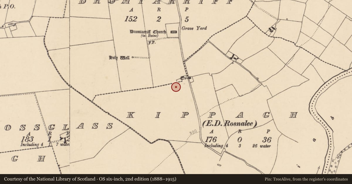 Ordnance Survey six-inch map, 2nd edition (1888–1915) covering the location of Fulacht fia, Kippagh (Duhallow By., Dromtarriff Par.), County Cork, with a pin at the register's coordinates