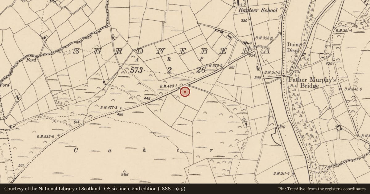 Ordnance Survey six-inch map, 2nd edition (1888–1915) covering the location of Enclosure, Shronebeha, County Cork, with a pin at the register's coordinates