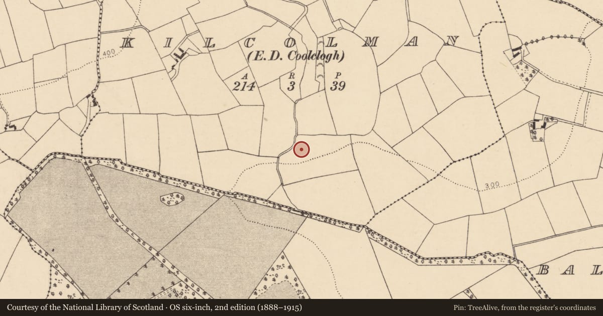 Ordnance Survey six-inch map, 2nd edition (1888–1915) covering the location of Fulacht fia, Kilcolman (Duhallow By., Dromtarriff Par.), County Cork, with a pin at the register's coordinates