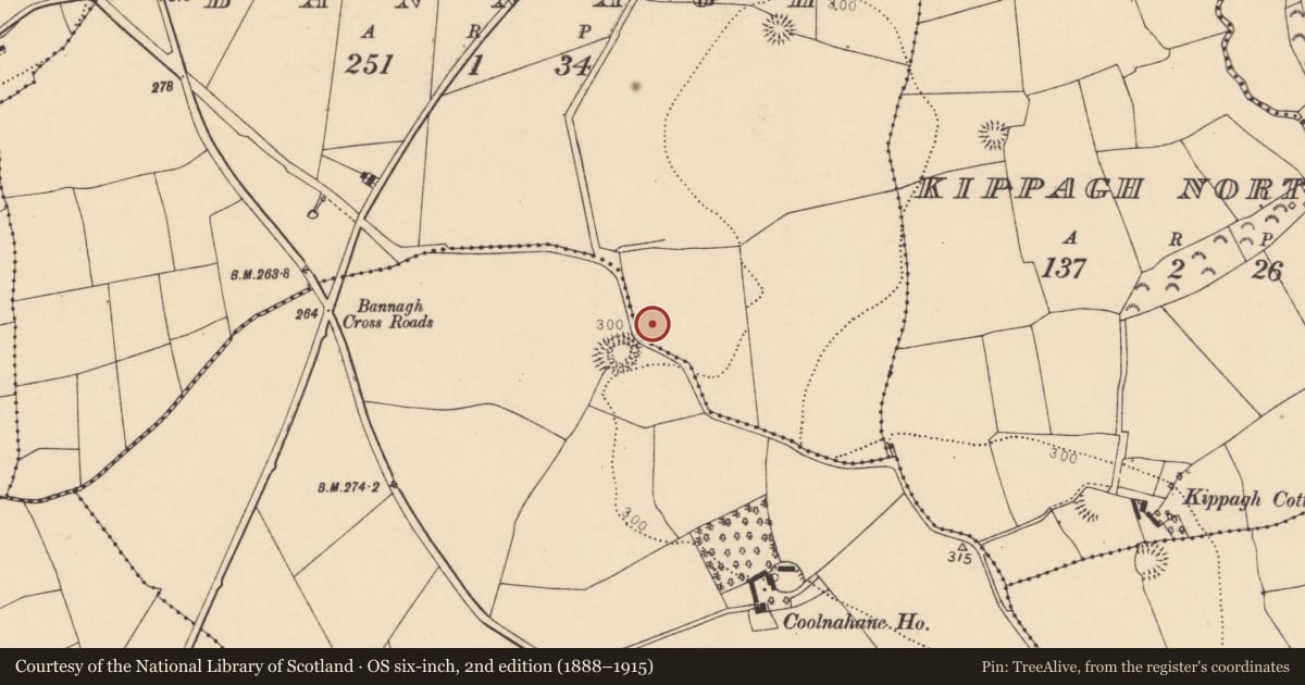 Ordnance Survey six-inch map, 2nd edition (1888–1915) covering the location of Fulacht fia, Bannagh, County Cork, with a pin at the register's coordinates