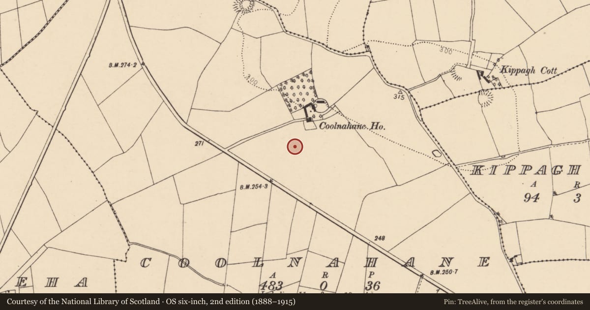 Ordnance Survey six-inch map, 2nd edition (1888–1915) covering the location of Fulacht fia, Coolnahane, County Cork, with a pin at the register's coordinates