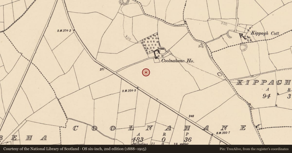 Ordnance Survey six-inch map, 2nd edition (1888–1915) covering the location of Fulacht fia, Coolnahane, County Cork, with a pin at the register's coordinates