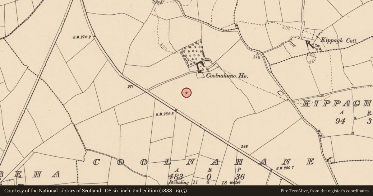 Ordnance Survey six-inch map, 2nd edition (1888–1915) covering the location of Fulacht fia, Coolnahane, County Cork, with a pin at the register's coordinates