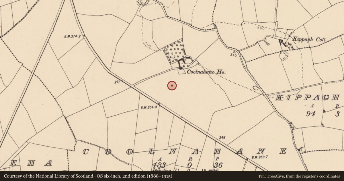 Ordnance Survey six-inch map, 2nd edition (1888–1915) covering the location of Fulacht fia, Coolnahane, County Cork, with a pin at the register's coordinates
