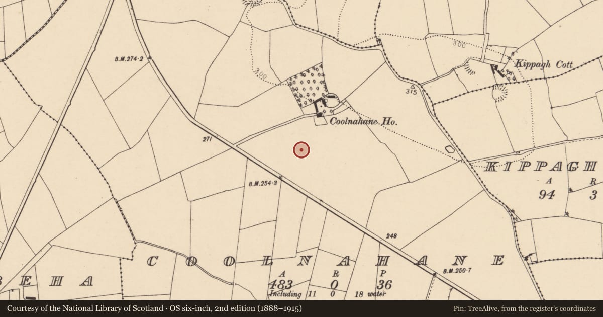 Ordnance Survey six-inch map, 2nd edition (1888–1915) covering the location of Fulacht fia, Coolnahane, County Cork, with a pin at the register's coordinates