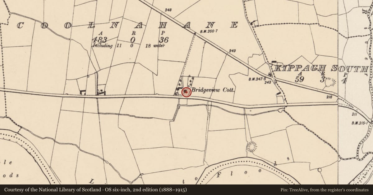 Ordnance Survey six-inch map, 2nd edition (1888–1915) covering the location of Country house, Coolnahane, County Cork, with a pin at the register's coordinates