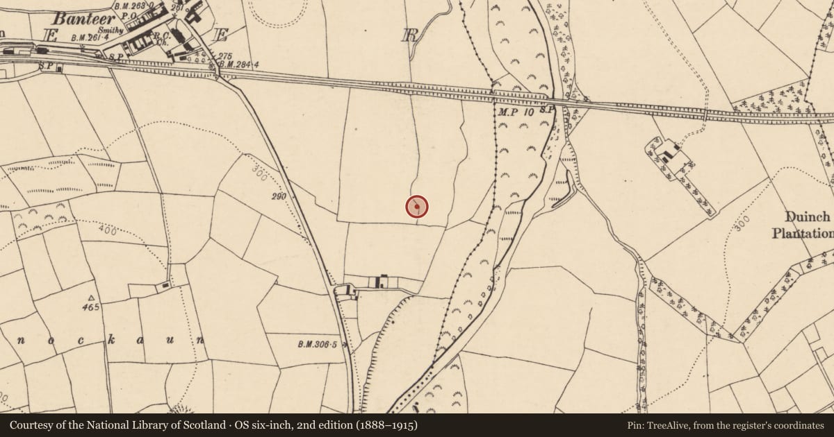 Ordnance Survey six-inch map, 2nd edition (1888–1915) covering the location of Enclosure, Banteer, County Cork, with a pin at the register's coordinates