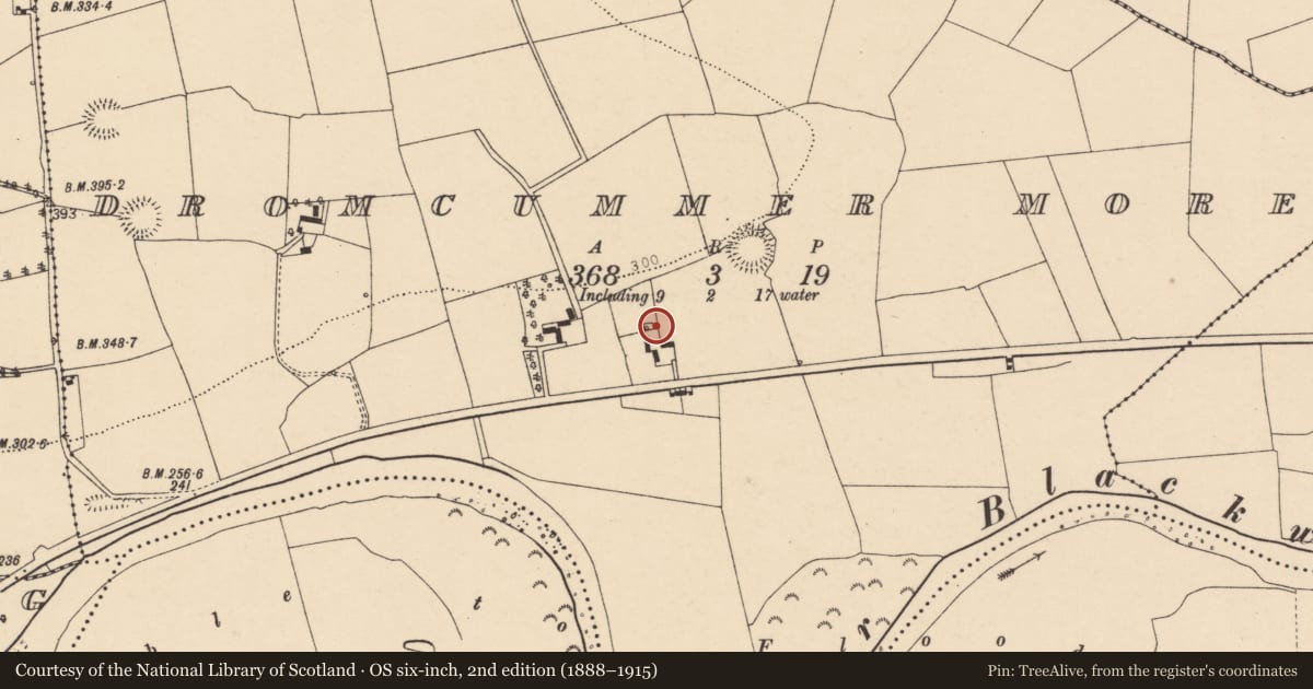 Ordnance Survey six-inch map, 2nd edition (1888–1915) covering the location of Kiln - lime, Dromcummer More, County Cork, with a pin at the register's coordinates