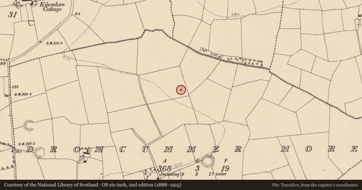Ordnance Survey six-inch map, 2nd edition (1888–1915) covering the location of Burnt spread, Dromcummer More, County Cork, with a pin at the register's coordinates