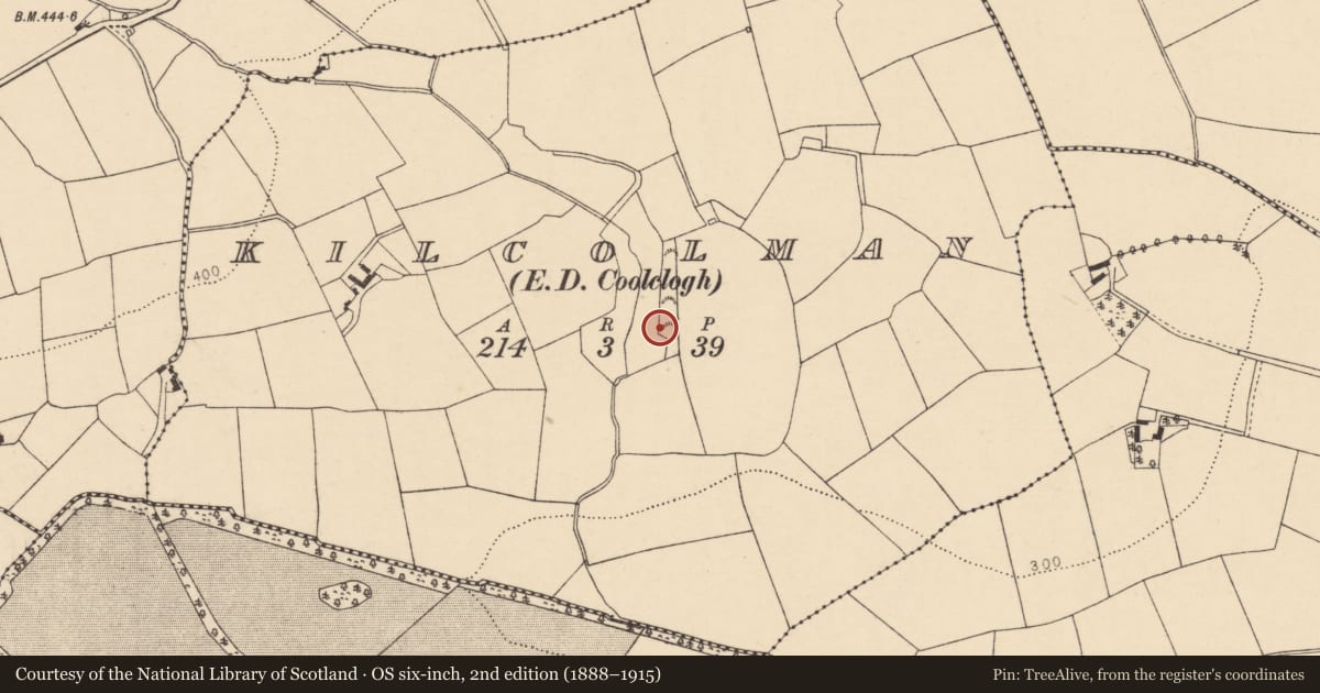 Ordnance Survey six-inch map, 2nd edition (1888–1915) covering the location of Fulacht fia, Kilcolman (Duhallow By., Dromtarriff Par.), County Cork, with a pin at the register's coordinates