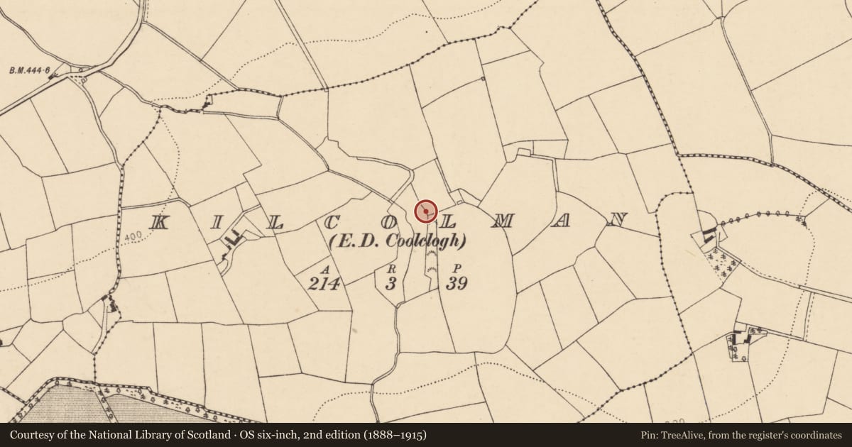 Ordnance Survey six-inch map, 2nd edition (1888–1915) covering the location of Burnt spread, Kilcolman (Duhallow By., Dromtarriff Par.), County Cork, with a pin at the register's coordinates