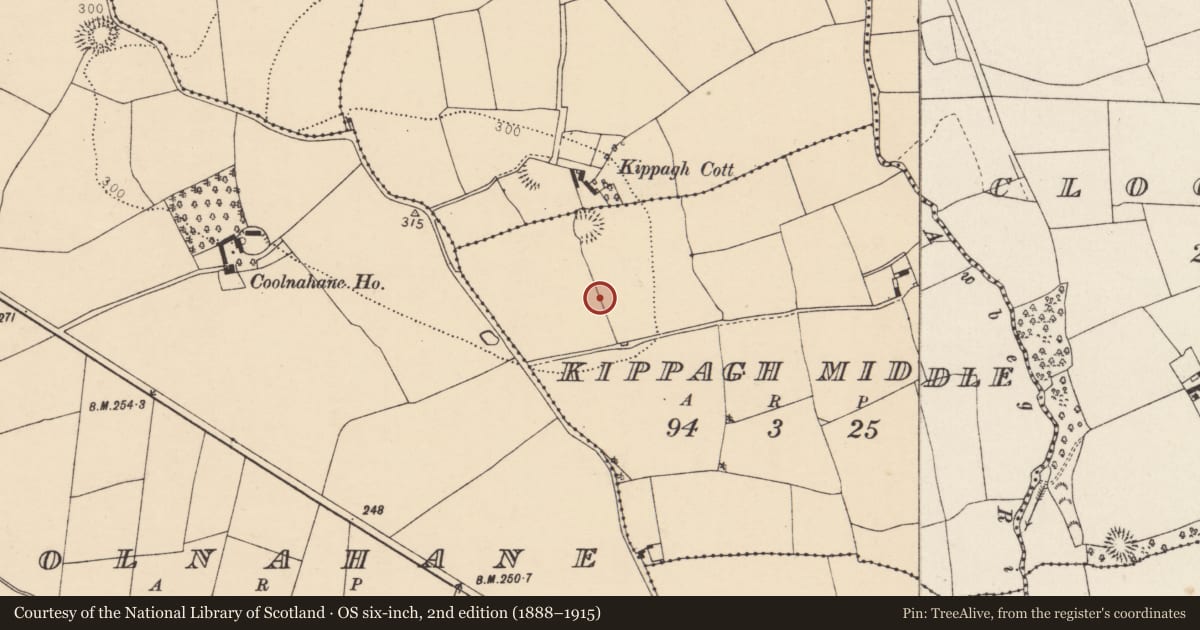 Ordnance Survey six-inch map, 2nd edition (1888–1915) covering the location of Burnt spread, Kippagh Middle, County Cork, with a pin at the register's coordinates