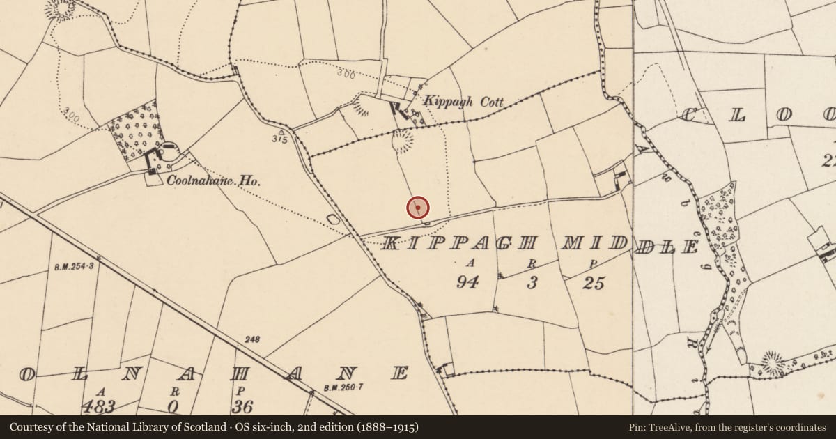 Ordnance Survey six-inch map, 2nd edition (1888–1915) covering the location of Burnt spread, Kippagh Middle, County Cork, with a pin at the register's coordinates
