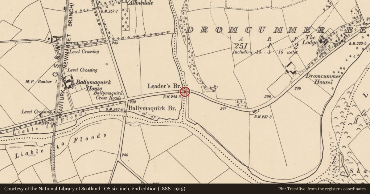 Ordnance Survey six-inch map, 2nd edition (1888–1915) covering the location of Bridge, Ballymaquirk, Dromcummer Beg, County Cork, with a pin at the register's coordinates