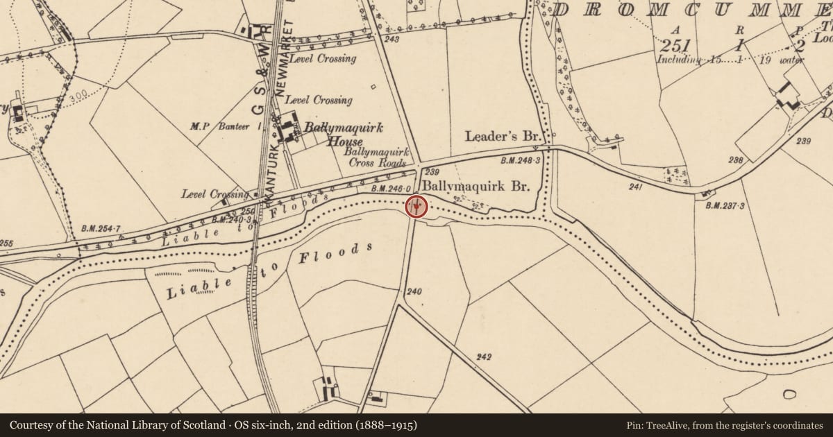 Ordnance Survey six-inch map, 2nd edition (1888–1915) covering the location of Bridge, Ballymaquirk, Banteer, County Cork, with a pin at the register's coordinates