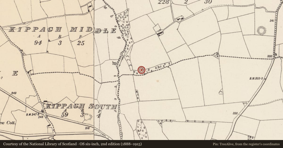 Ordnance Survey six-inch map, 2nd edition (1888–1915) covering the location of Ringfort - rath, Cloonteens, County Cork, with a pin at the register's coordinates