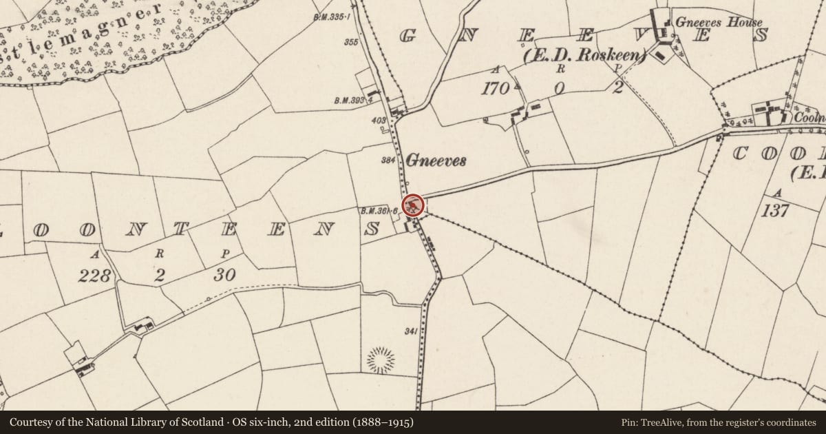 Ordnance Survey six-inch map, 2nd edition (1888–1915) covering the location of House - vernacular house, Gneeves (Duhallow By., Castlemagner Par.), County Cork, with a pin at the register's coordinates