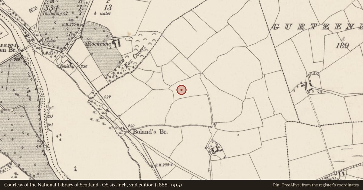 Ordnance Survey six-inch map, 2nd edition (1888–1915) covering the location of Fulacht fia, Pallas, County Cork, with a pin at the register's coordinates