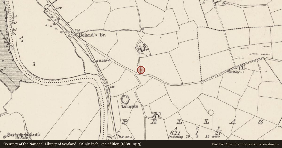 Ordnance Survey six-inch map, 2nd edition (1888–1915) covering the location of Ringfort - rath, Pallas, County Cork, with a pin at the register's coordinates