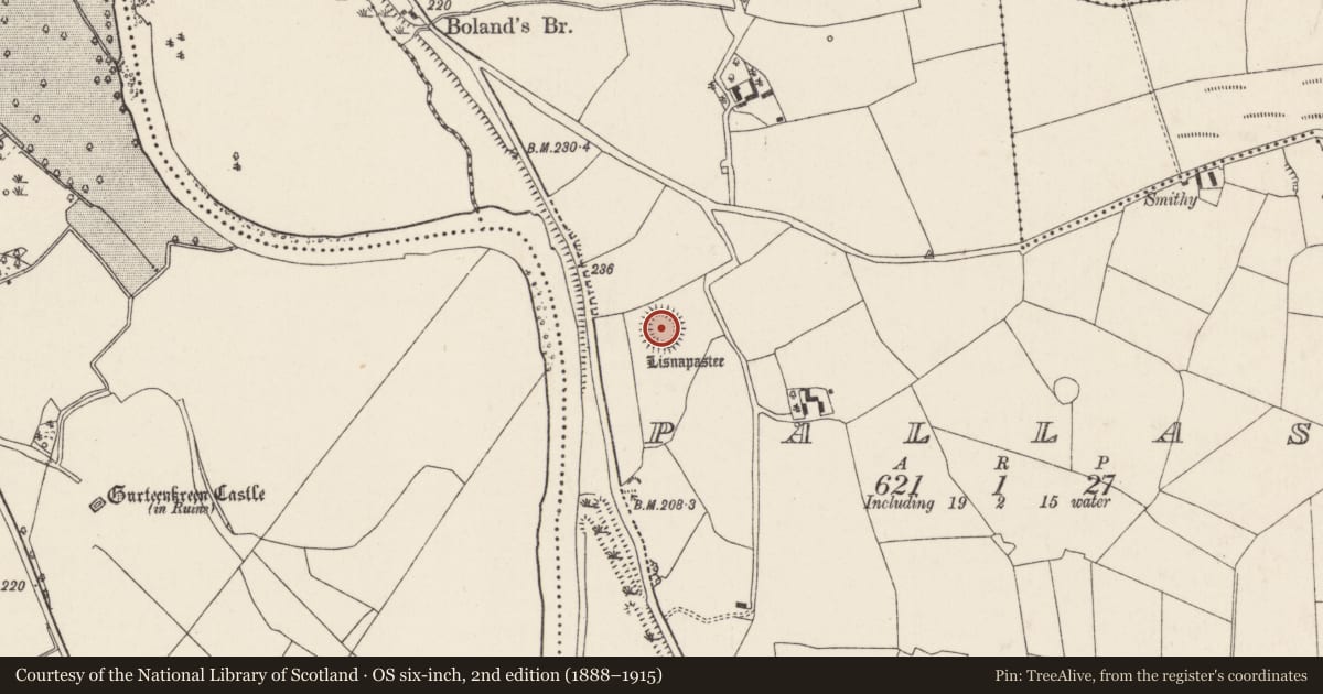 Ordnance Survey six-inch map, 2nd edition (1888–1915) covering the location of Burial ground, Pallas, County Cork, with a pin at the register's coordinates