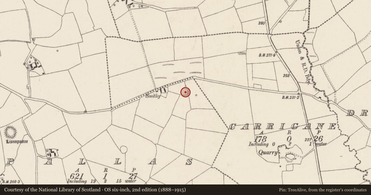 Ordnance Survey six-inch map, 2nd edition (1888–1915) covering the location of Ringfort - rath, Pallas, County Cork, with a pin at the register's coordinates