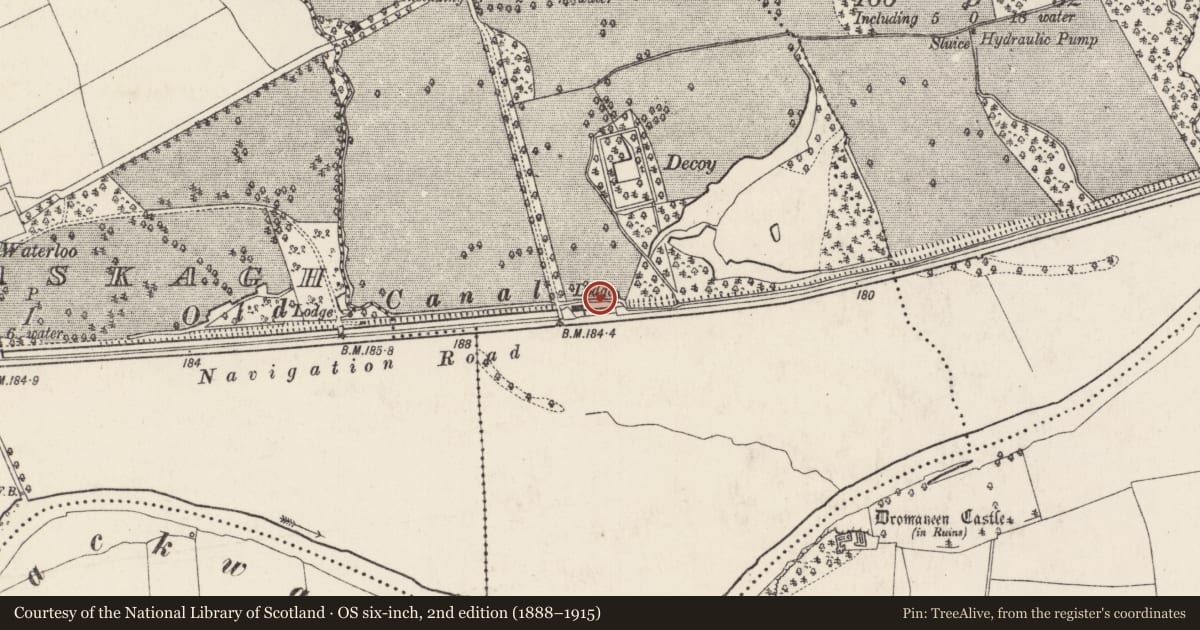 Ordnance Survey six-inch map, 2nd edition (1888–1915) covering the location of Kiln - lime, Longueville, County Cork, with a pin at the register's coordinates