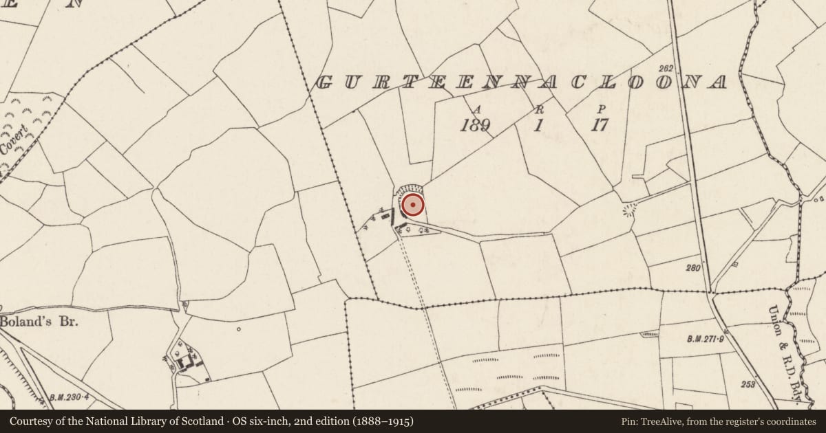 Ordnance Survey six-inch map, 2nd edition (1888–1915) covering the location of Ringfort - rath, Gurteennacloona, County Cork, with a pin at the register's coordinates