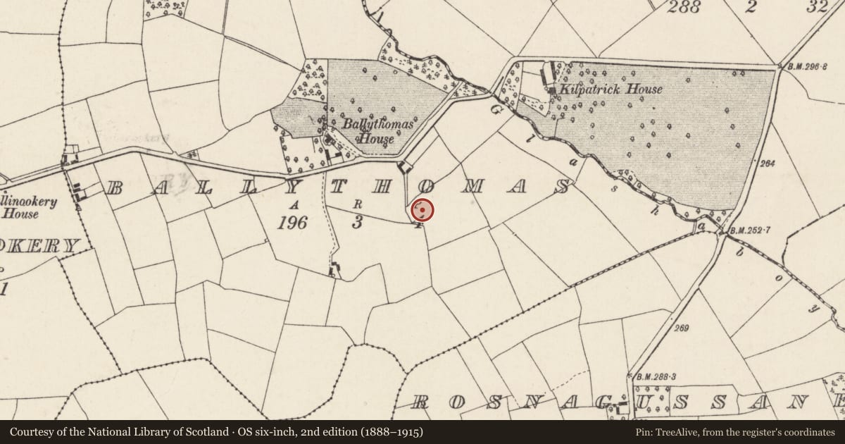Ordnance Survey six-inch map, 2nd edition (1888–1915) covering the location of Fulacht fia, Ballythomas, County Cork, with a pin at the register's coordinates