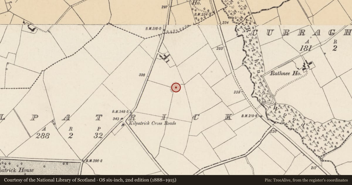 Ordnance Survey six-inch map, 2nd edition (1888–1915) covering the location of Ringfort - rath, Kilpatrick, County Cork, with a pin at the register's coordinates
