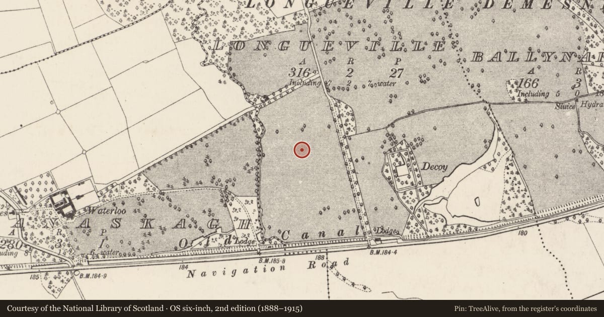 Ordnance Survey six-inch map, 2nd edition (1888–1915) covering the location of Ringfort - rath, Longueville, County Cork, with a pin at the register's coordinates