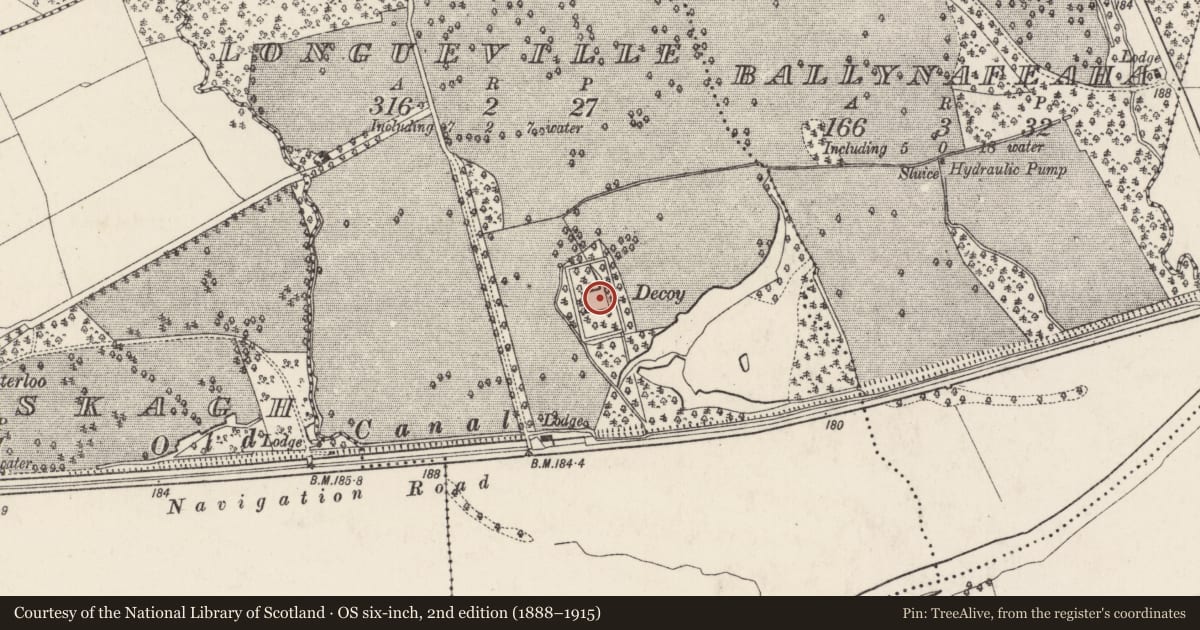 Ordnance Survey six-inch map, 2nd edition (1888–1915) covering the location of Decoy pond, Longueville, County Cork, with a pin at the register's coordinates