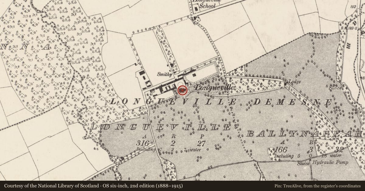 Ordnance Survey six-inch map, 2nd edition (1888–1915) covering the location of Country house, Longueville, County Cork, with a pin at the register's coordinates