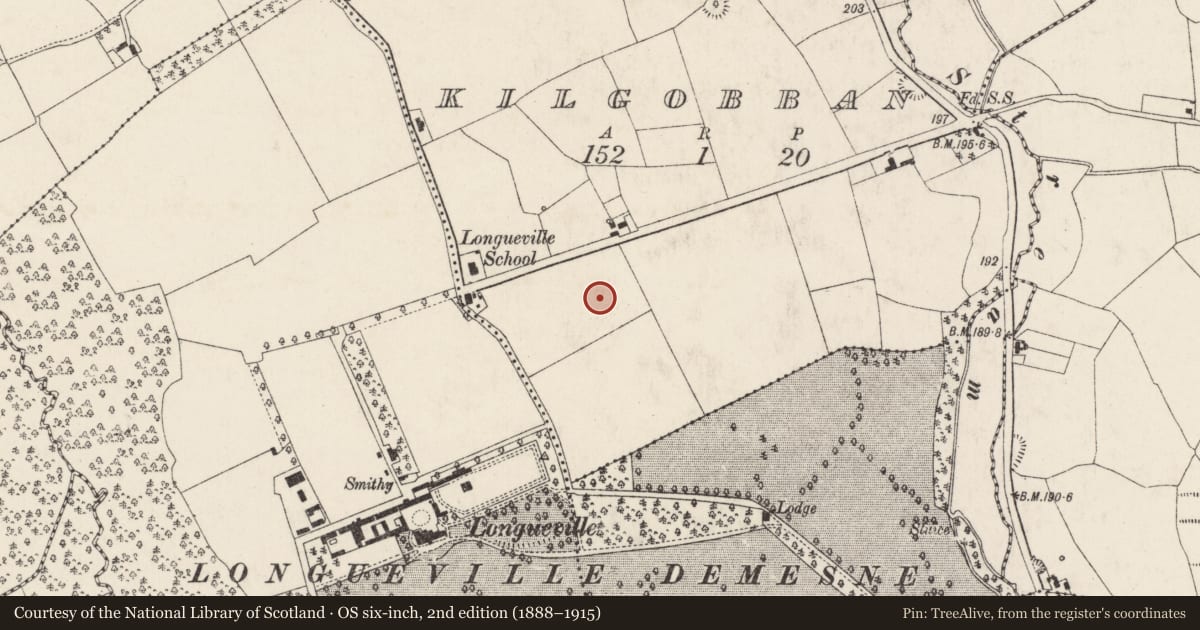 Ordnance Survey six-inch map, 2nd edition (1888–1915) covering the location of Enclosure, Kilgobban, County Cork, with a pin at the register's coordinates