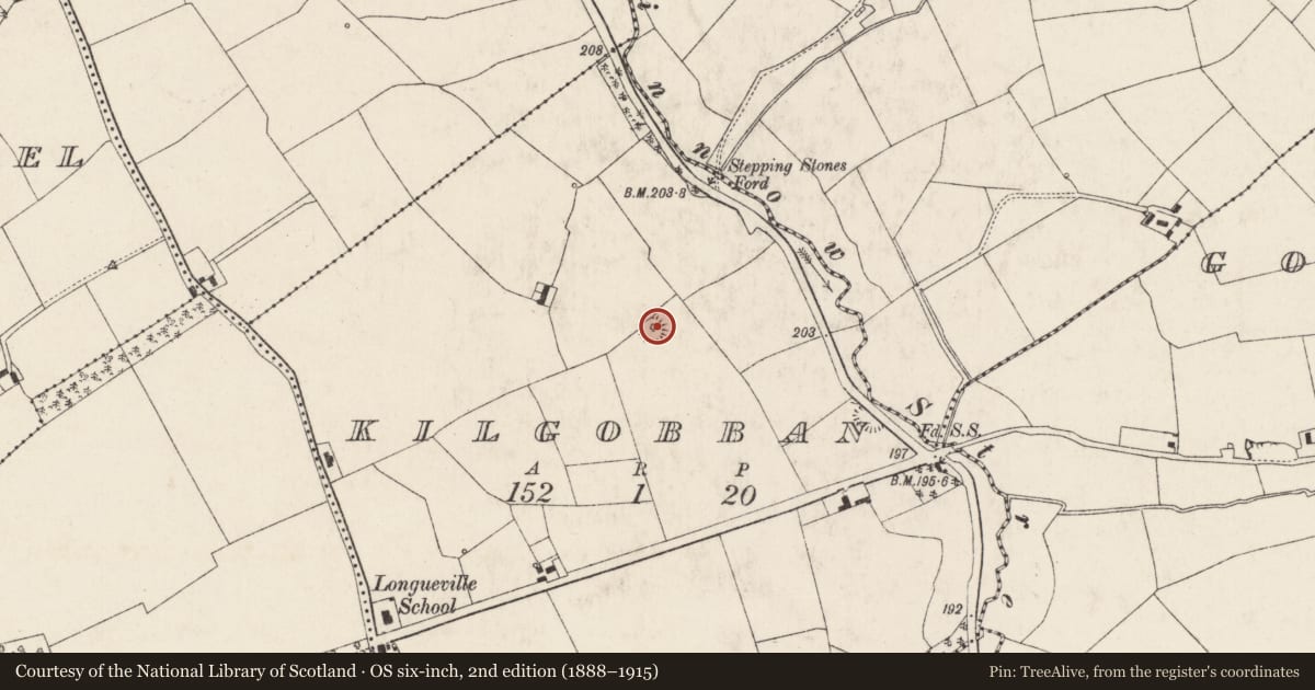 Ordnance Survey six-inch map, 2nd edition (1888–1915) covering the location of Ringfort - rath, Kilgobban, County Cork, with a pin at the register's coordinates