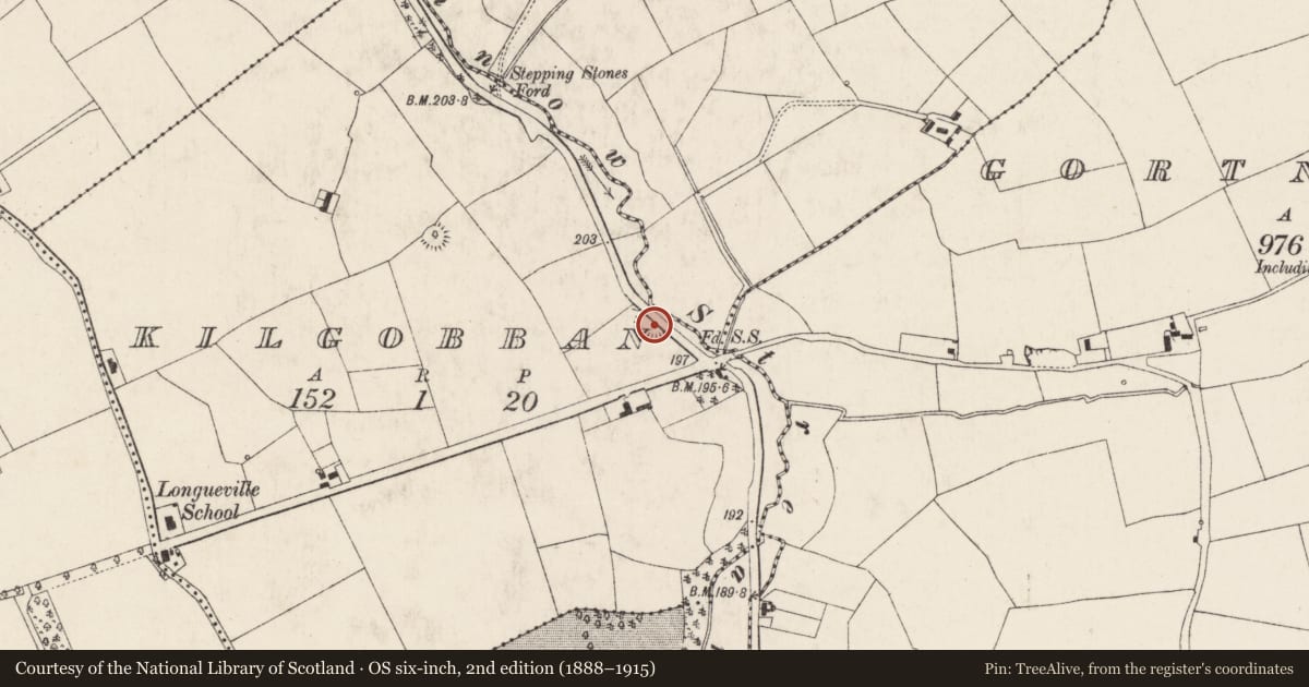 Ordnance Survey six-inch map, 2nd edition (1888–1915) covering the location of Quarry, Kilgobban, County Cork, with a pin at the register's coordinates