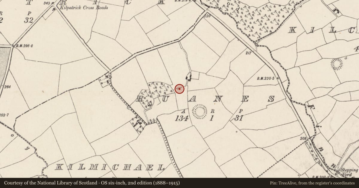 Ordnance Survey six-inch map, 2nd edition (1888–1915) covering the location of Kiln - lime, Ruanes, County Cork, with a pin at the register's coordinates