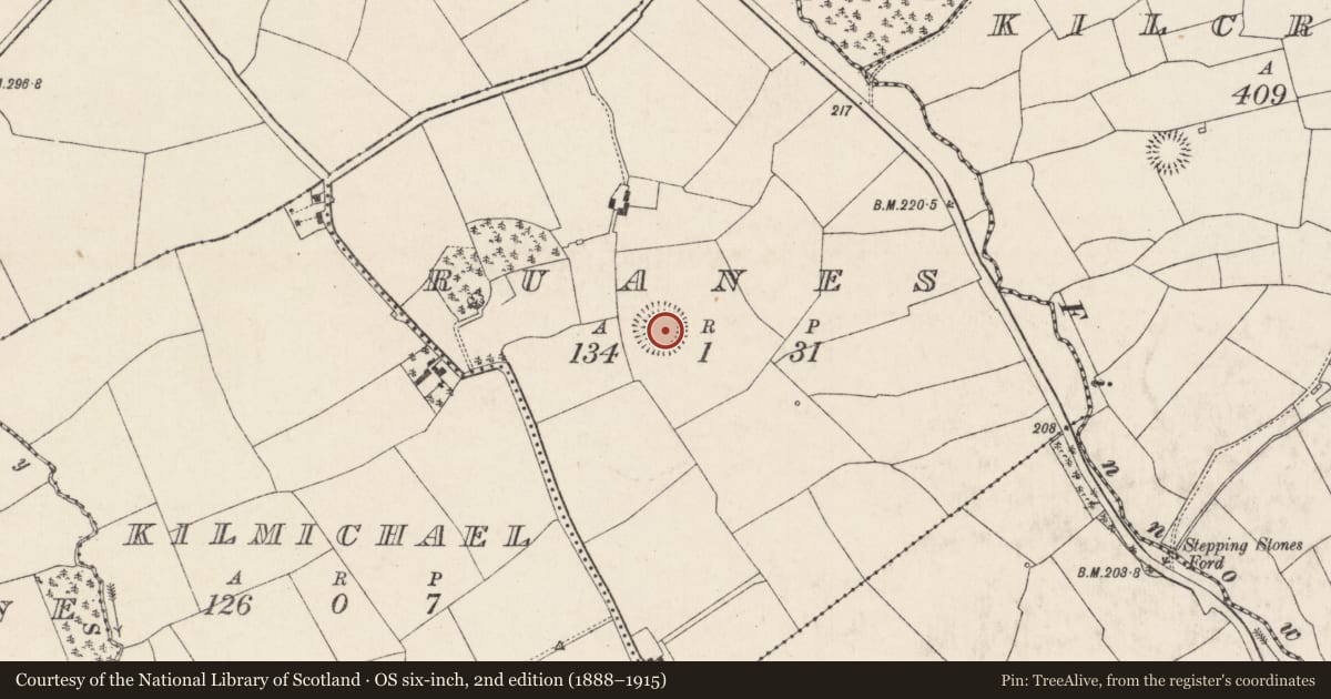Ordnance Survey six-inch map, 2nd edition (1888–1915) covering the location of Ringfort - rath, Ruanes, County Cork, with a pin at the register's coordinates