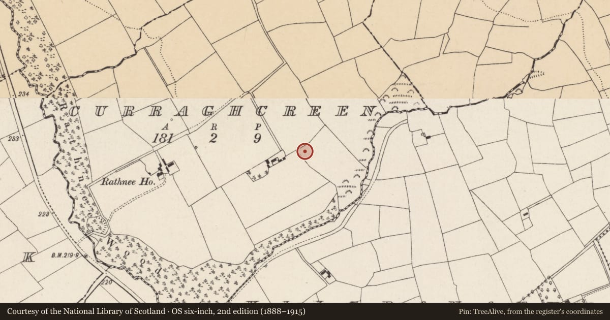 Ordnance Survey six-inch map, 2nd edition (1888–1915) covering the location of Ringfort - rath, Curraghcreen, County Cork, with a pin at the register's coordinates