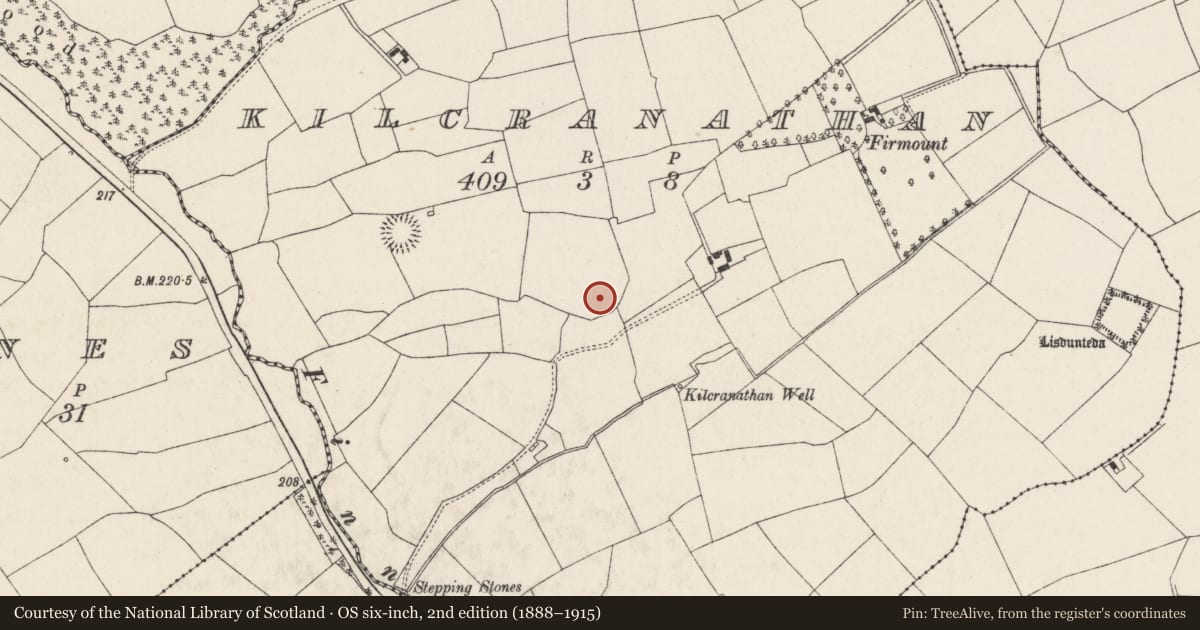 Ordnance Survey six-inch map, 2nd edition (1888–1915) covering the location of Ringfort - rath, Kilcranathan, County Cork, with a pin at the register's coordinates