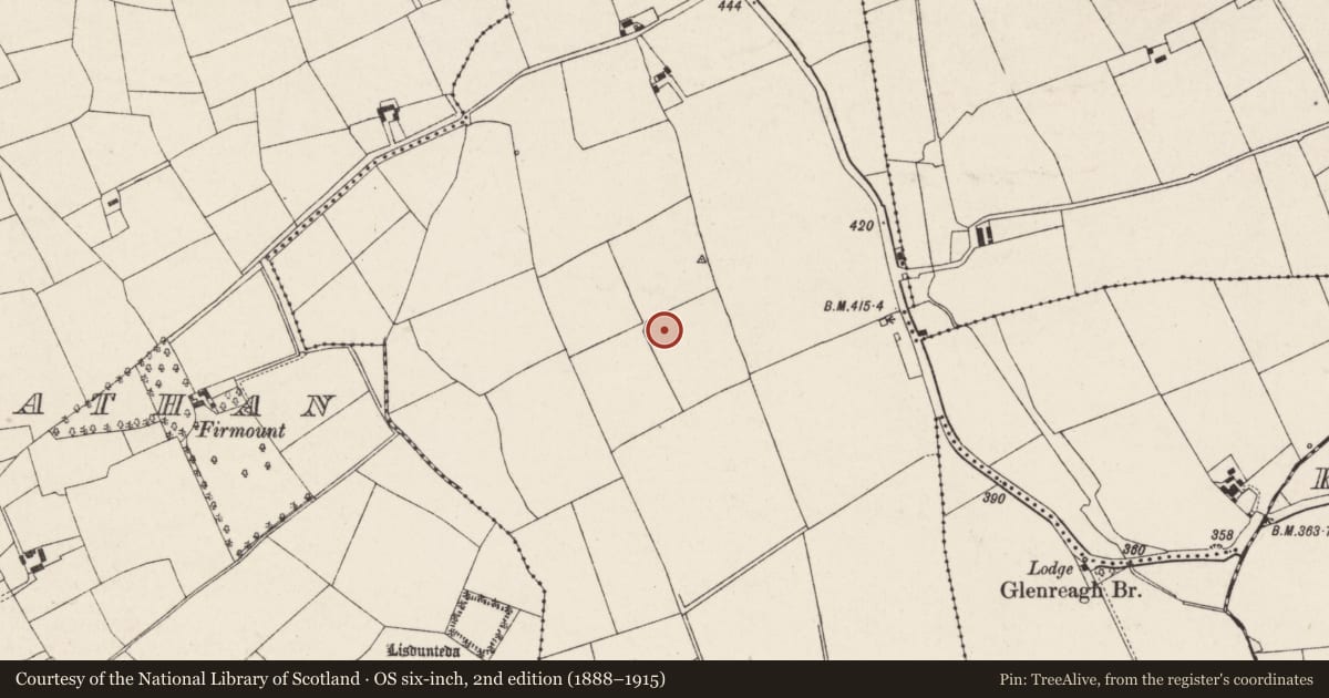 Ordnance Survey six-inch map, 2nd edition (1888–1915) covering the location of Ringfort - rath, Gortnagross (Duhallow By., Ballyclogh Par.), County Cork, with a pin at the register's coordinates