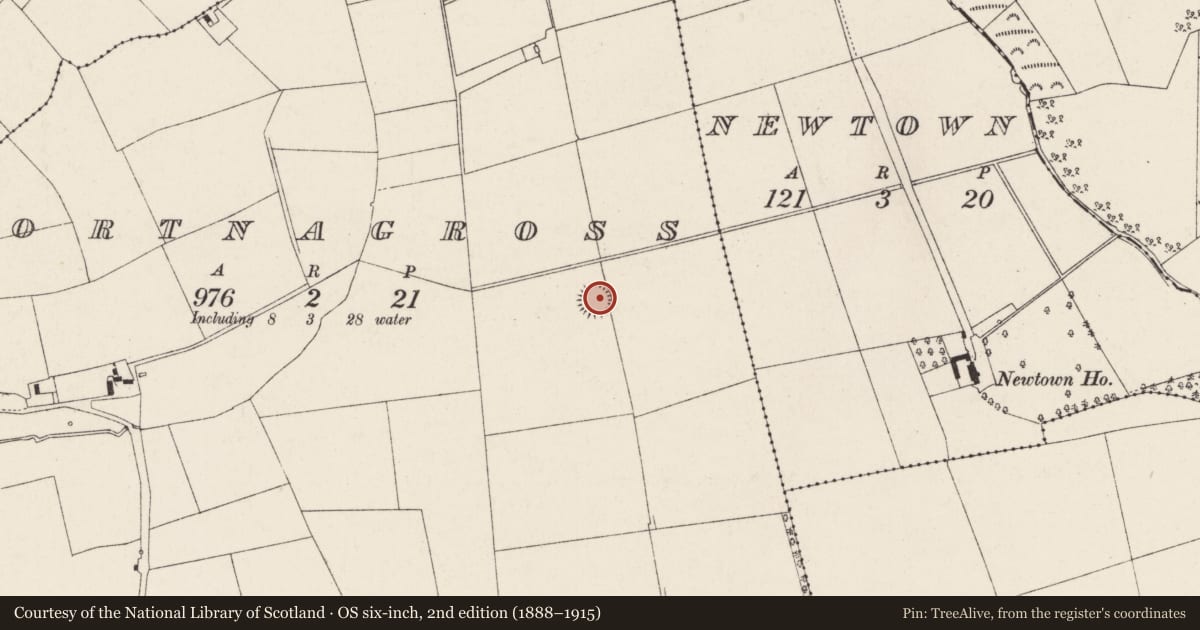 Ordnance Survey six-inch map, 2nd edition (1888–1915) covering the location of Ringfort - rath, Gortnagross (Duhallow By., Ballyclogh Par.), County Cork, with a pin at the register's coordinates