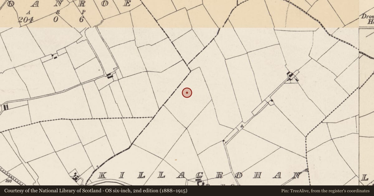 Ordnance Survey six-inch map, 2nd edition (1888–1915) covering the location of Ringfort - rath, Killagrohan, County Cork, with a pin at the register's coordinates