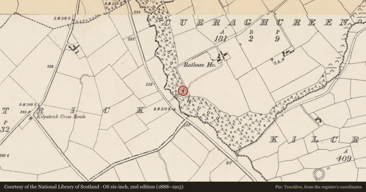 Ordnance Survey six-inch map, 2nd edition (1888–1915) covering the location of Ringfort - rath, Curraghcreen, County Cork, with a pin at the register's coordinates