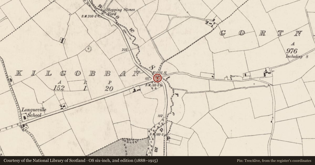 Ordnance Survey six-inch map, 2nd edition (1888–1915) covering the location of Ecclesiastical enclosure, County Cork, with a pin at the register's coordinates