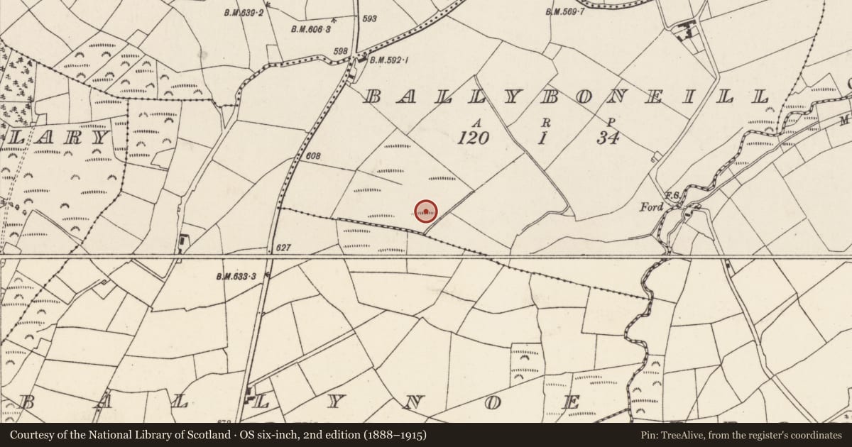 Ordnance Survey six-inch map, 2nd edition (1888–1915) covering the location of Fulacht fia, Ballyboneill, County Cork, with a pin at the register's coordinates