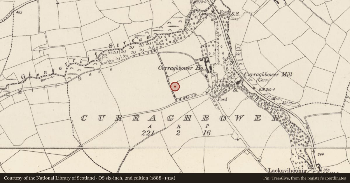 Ordnance Survey six-inch map, 2nd edition (1888–1915) covering the location of Ringfort - rath, Curraghbower, County Cork, with a pin at the register's coordinates