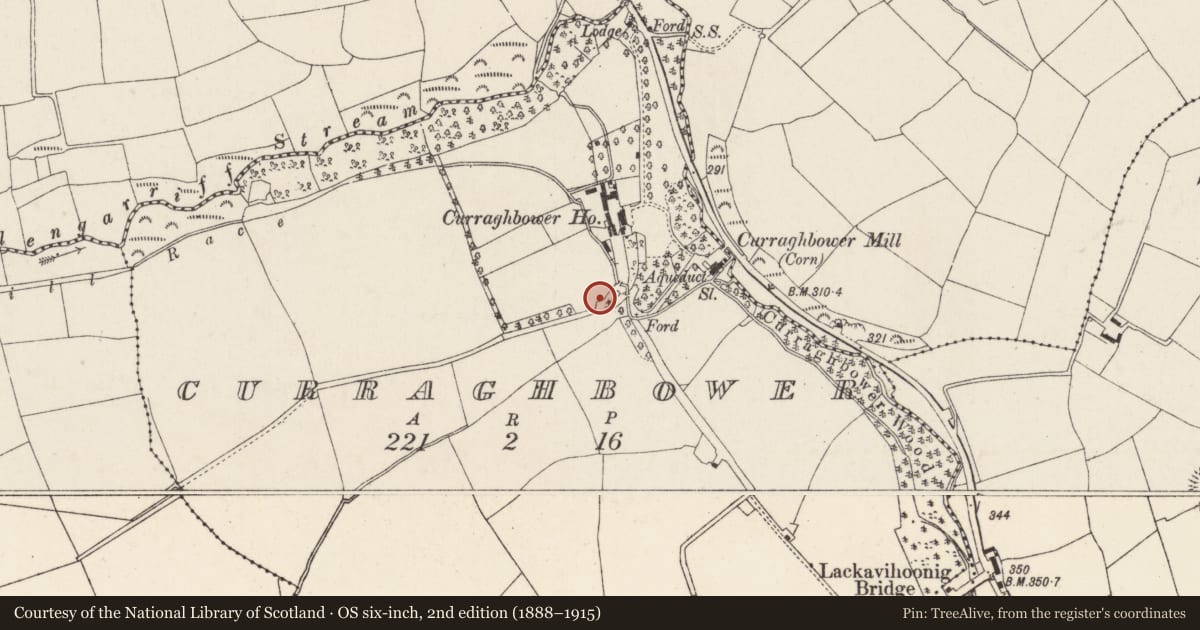 Ordnance Survey six-inch map, 2nd edition (1888–1915) covering the location of Standing stone, Curraghbower, County Cork, with a pin at the register's coordinates