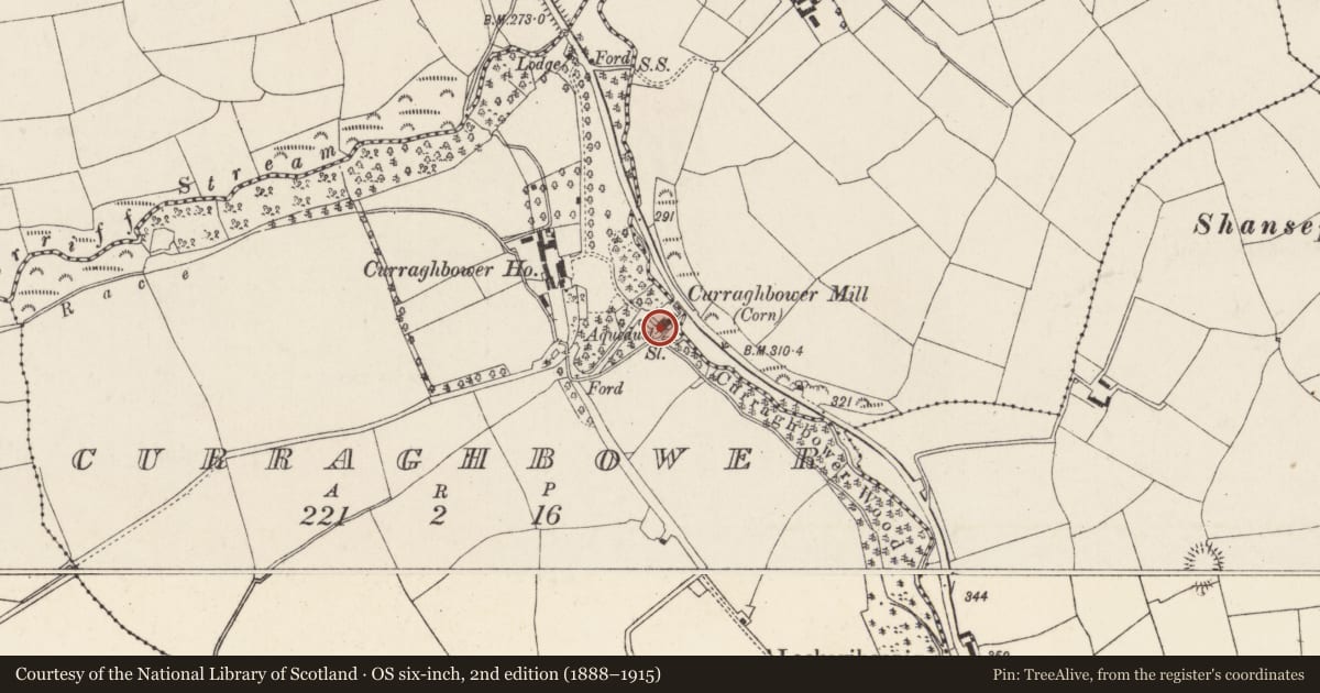 Ordnance Survey six-inch map, 2nd edition (1888–1915) covering the location of Mill - corn, Curraghbower, County Cork, with a pin at the register's coordinates