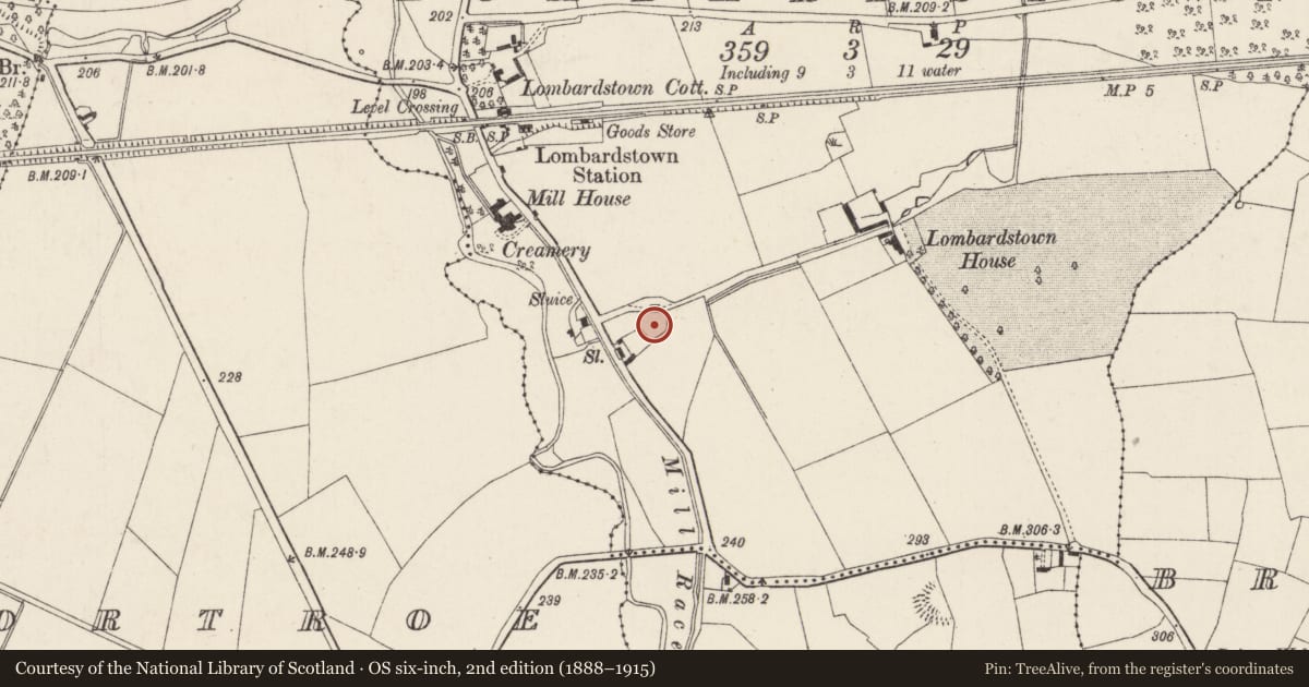 Ordnance Survey six-inch map, 2nd edition (1888–1915) covering the location of Ringfort - rath, Lombardstown, County Cork, with a pin at the register's coordinates